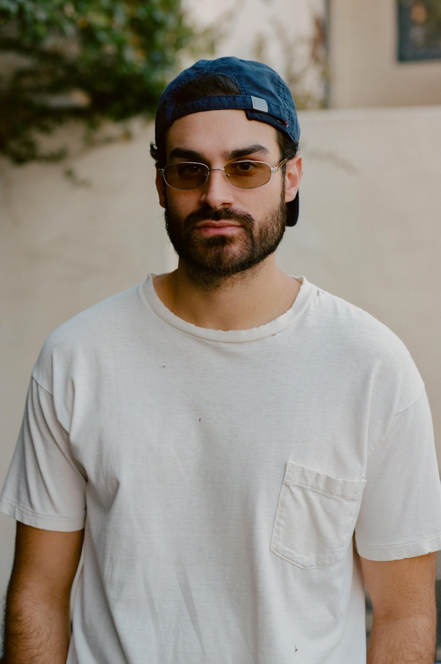 Canoga in Silver & Sage