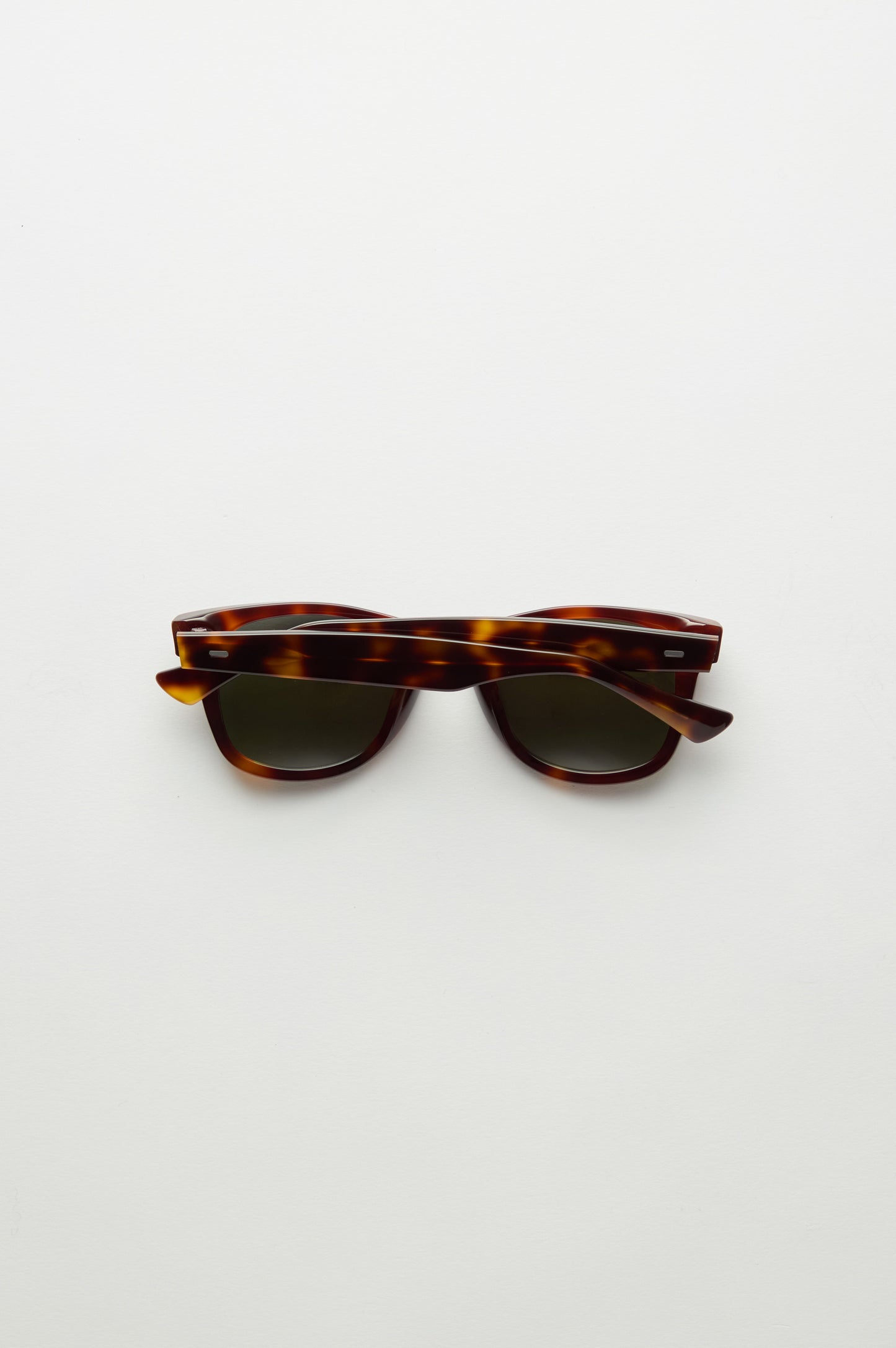 Sloane in Tortoise & G15
